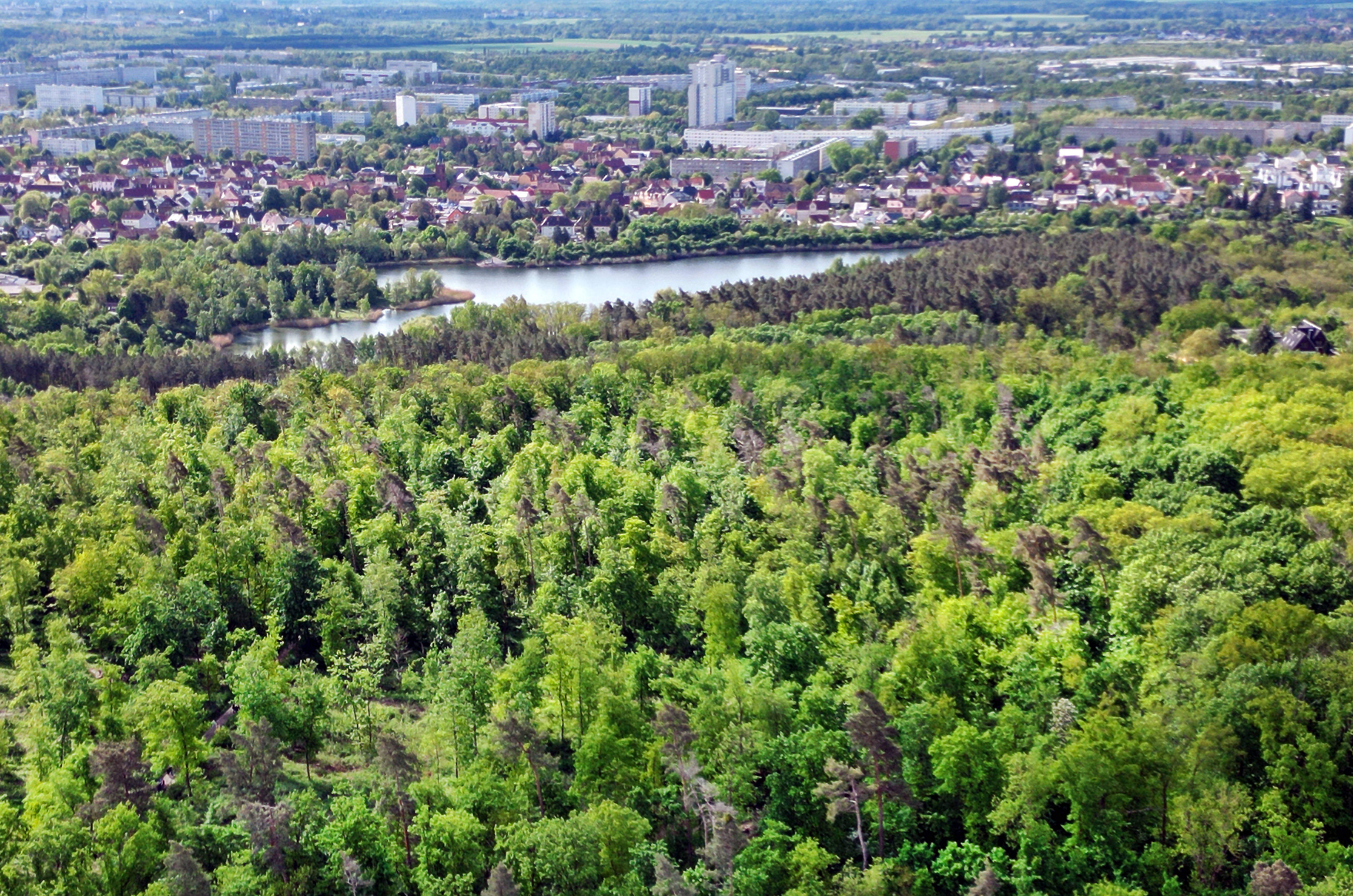 Luftaufnahme der Stadt Halle an der Saale mit Blick auf Nietleben und Halle-Neustadt