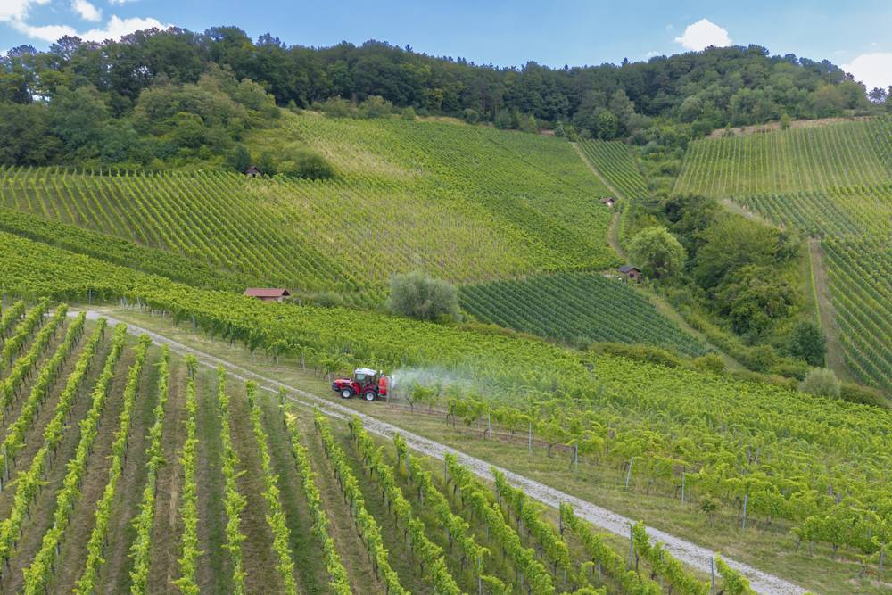 Hügelig grüne Weinberge mit einem Traktor auf einem Weg, umgeben von Natur und Pflanzen, Luftaufnahme, Traktor bringt Pestizide in den Weinbergen aus