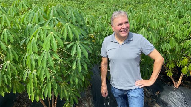 Ekkehard Neuhaus an einem Versuchfeld mit transgenem Maniok.