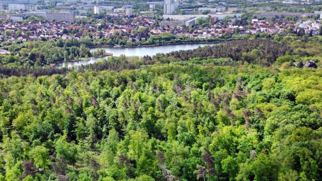 Luftaufnahme der Stadt Halle an der Saale mit Blick auf Nietleben und Halle-Neustadt
