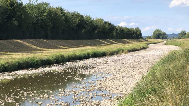 Dreisam bei Freiburg, ausgetrocknet