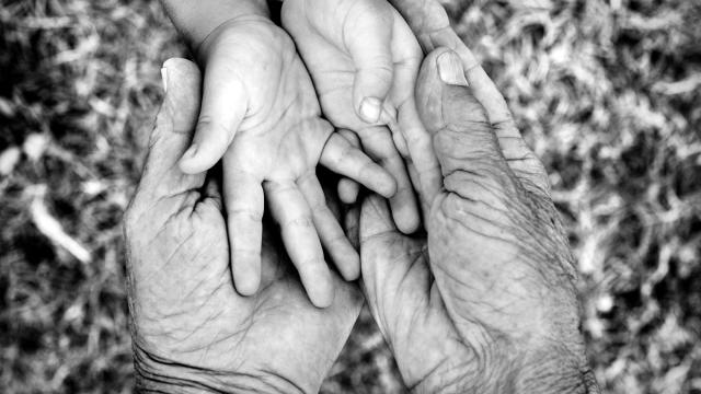 Young and old hands