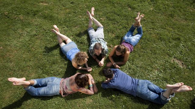 Gruppe von Menschen liegt im Kreis im Grünen
