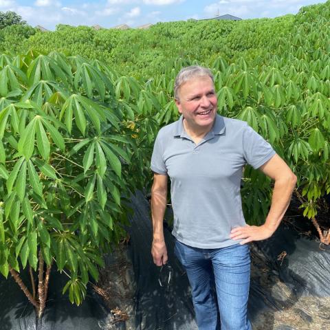 Ekkehard Neuhaus an einem Versuchfeld mit transgenem Maniok.